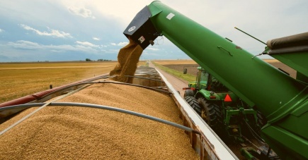 Experts did not appreciate the idea of the Ministry of Economic Development on the calculation of grain duties