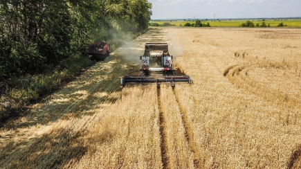 Запасы зерна и зернобобовых в августе 2022 года превысили предыдущий рекорд на четверть