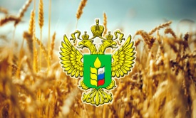 The project for the construction of the “Vysotsky Grain Terminal” was supported by the Ministry of agriculture of Russia.